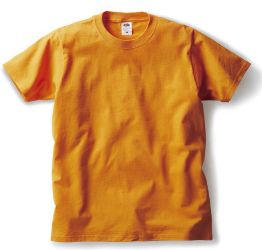 Tシャツ　プリント　アイパック　フェリック　TRUSS J3930HD