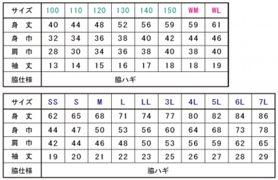 Tシャツ プリント アイパック glimmer300-ACT