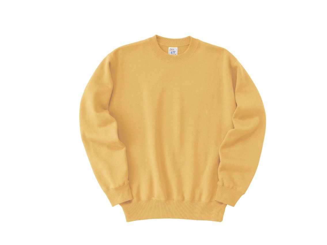 Tシャツ　プリント　アイパック　フェリック　SW2210