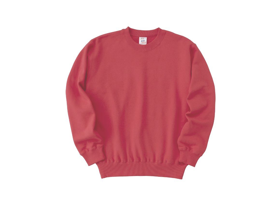 Tシャツ　プリント　アイパック　フェリック　SW2210