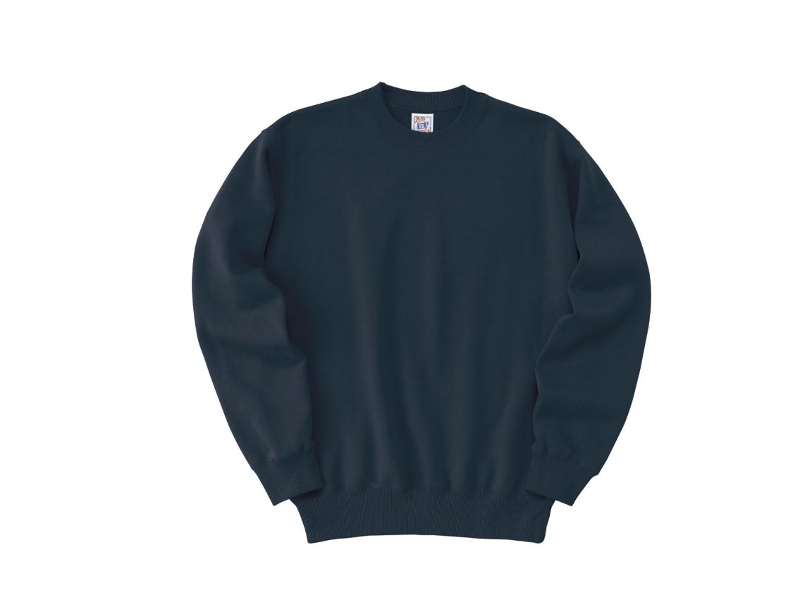 Tシャツ　プリント　アイパック　フェリック　SW2210