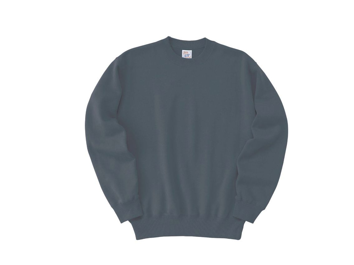 Tシャツ　プリント　アイパック　フェリック　SW2210