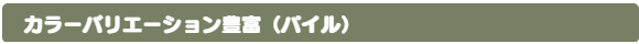 Tシャツ　プリント　アイパック